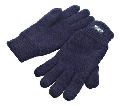 Result Thinsulate Gloves