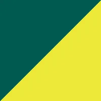 paramedic green/signal yellow
