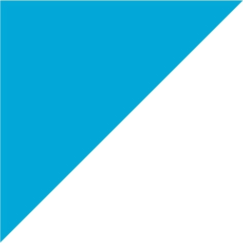 turquoise/white