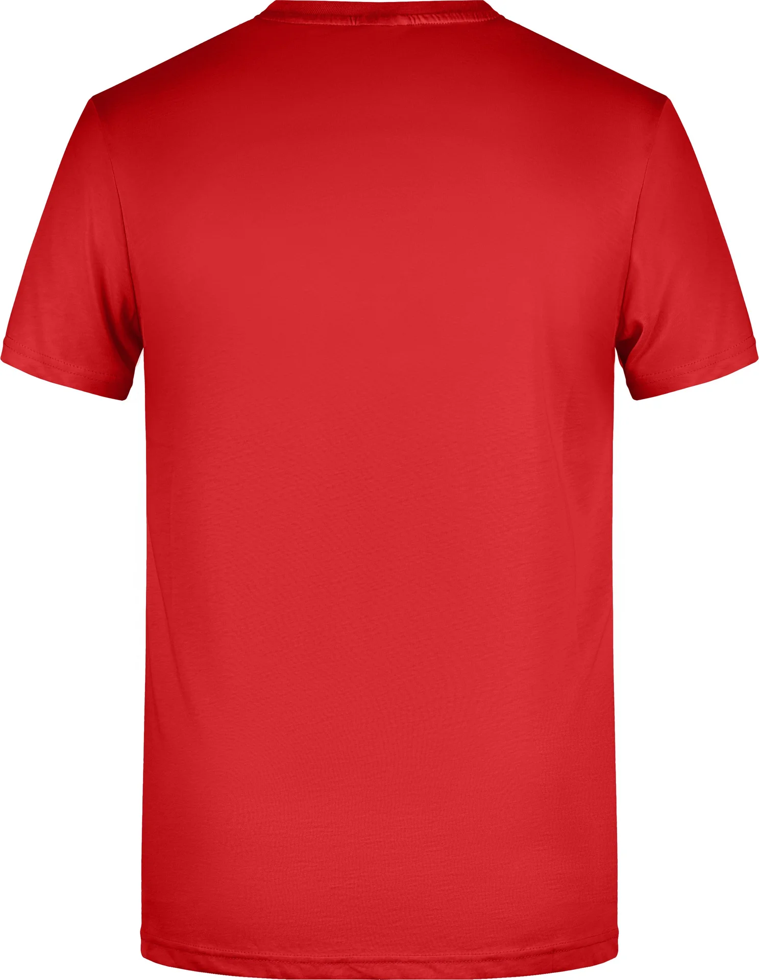 James & Nicholson Men`s Basic-T