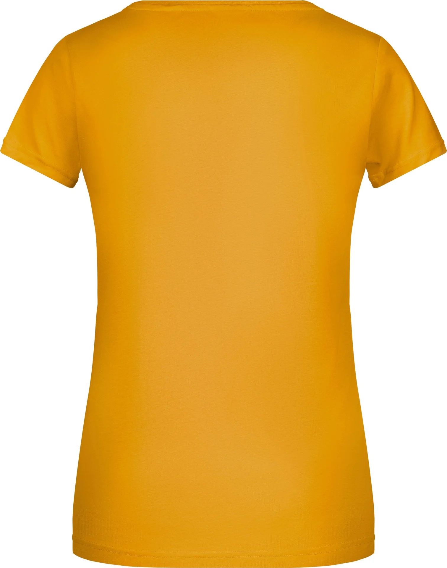 James & Nicholson Ladies Basic-T