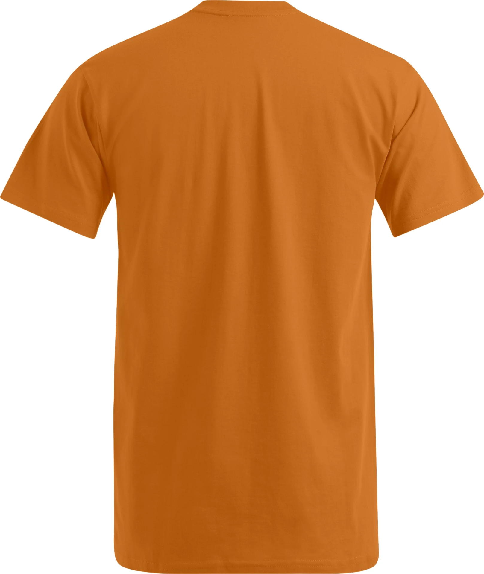 Promodoro Men's Premium V-Neck-T