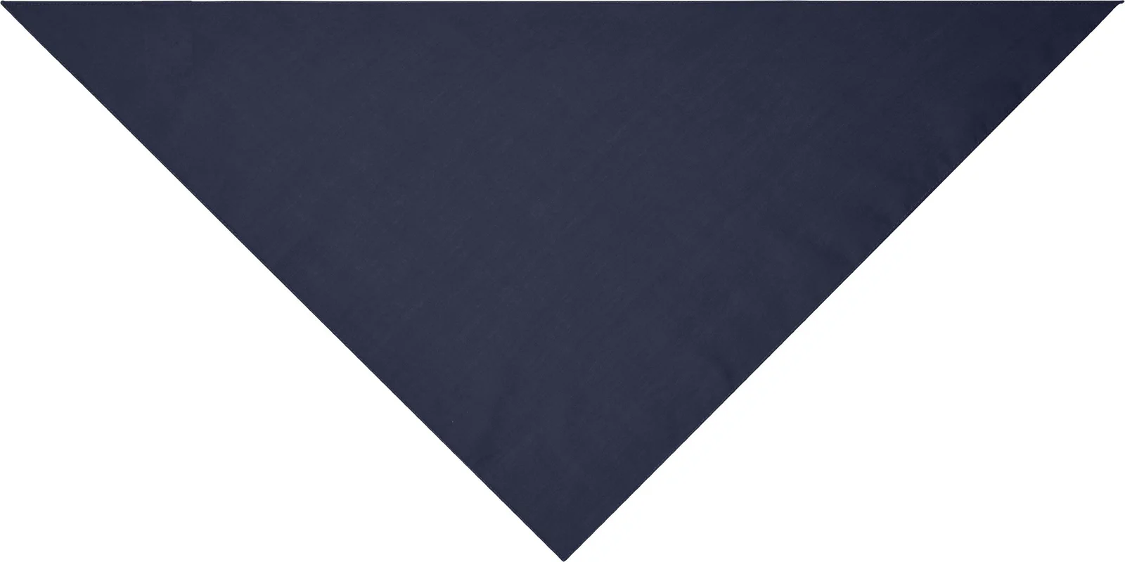 myrtle beach Triangular Scarf