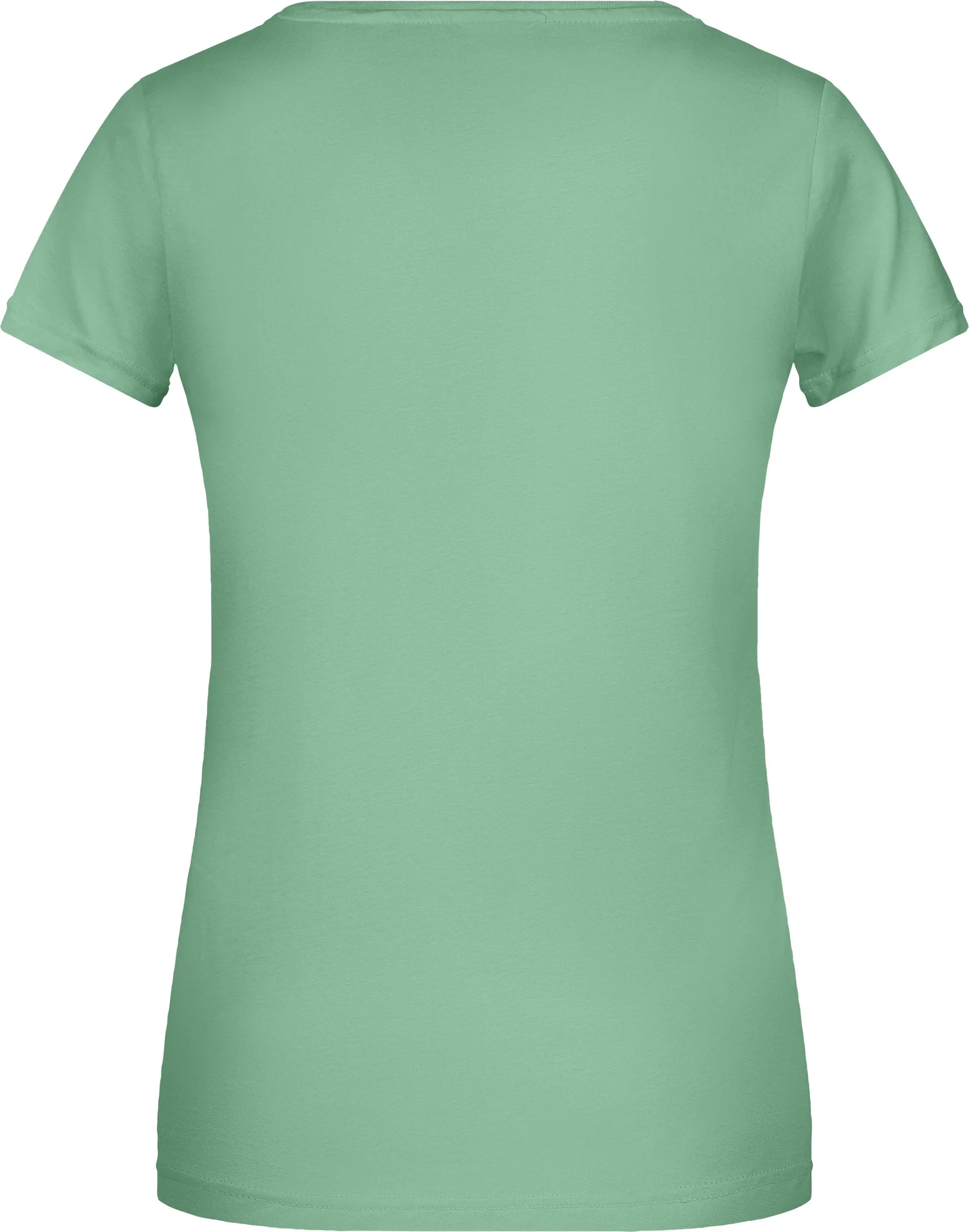 James & Nicholson Ladies Basic-T