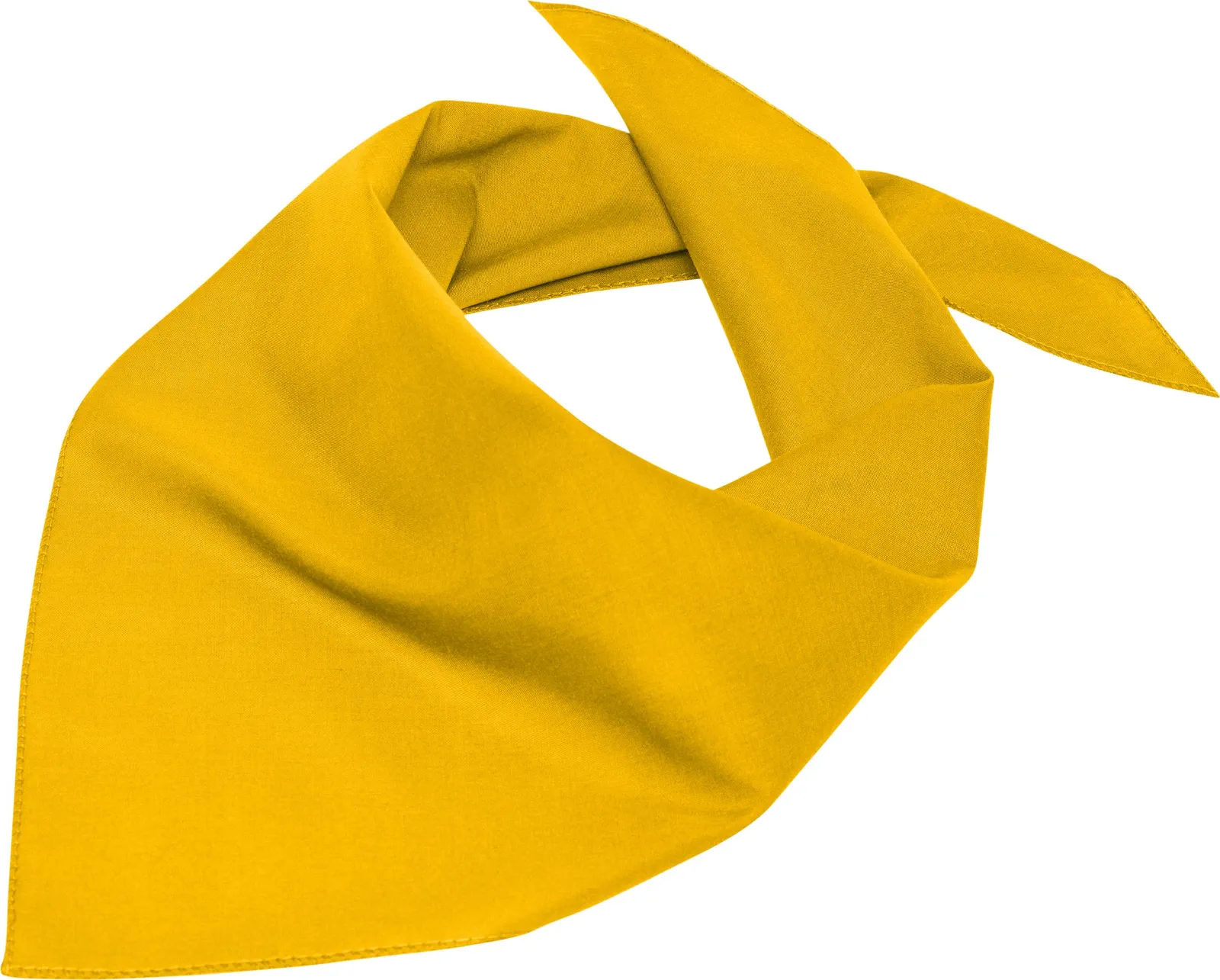 myrtle beach Triangular Scarf
