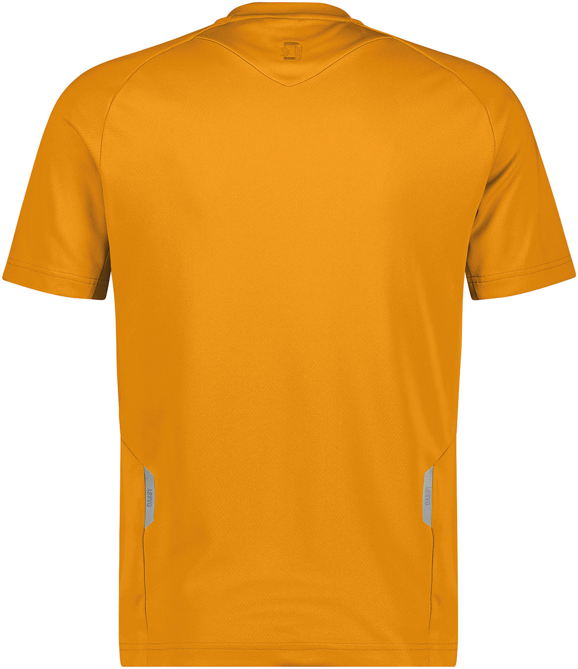 DASSY T-Shirt FUJI