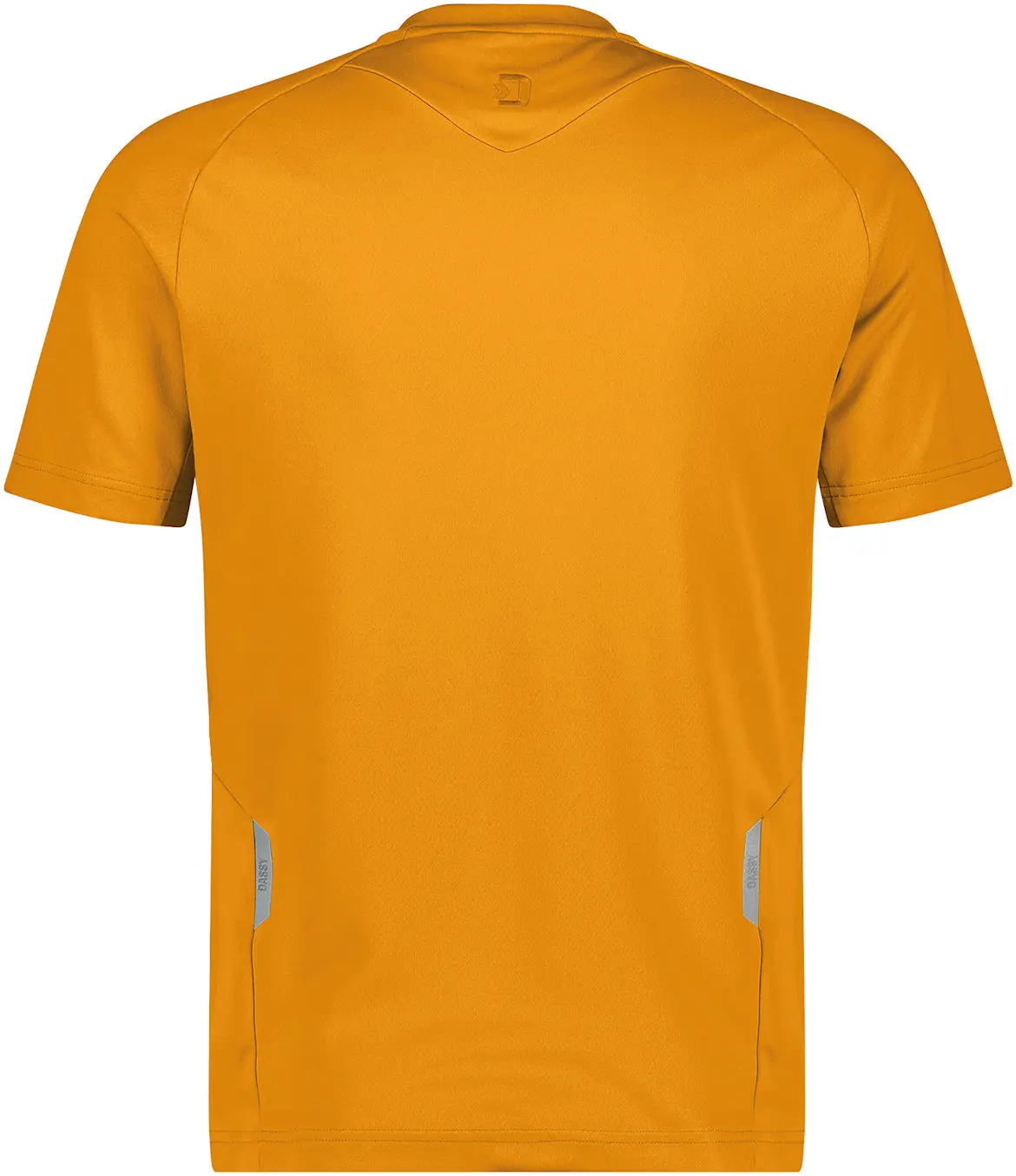 DASSY T-Shirt FUJI