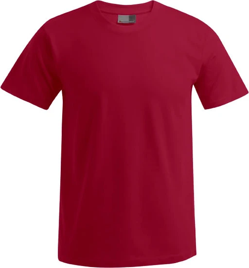 Promodoro Men's Premium-T