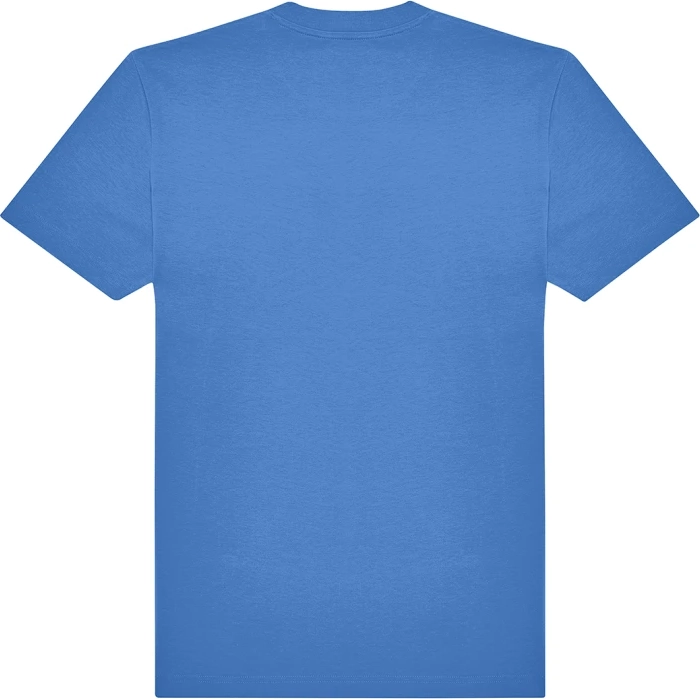 bc-tg002-e220-t-shirt-lake-blue-back-2 B&C #E220 T
