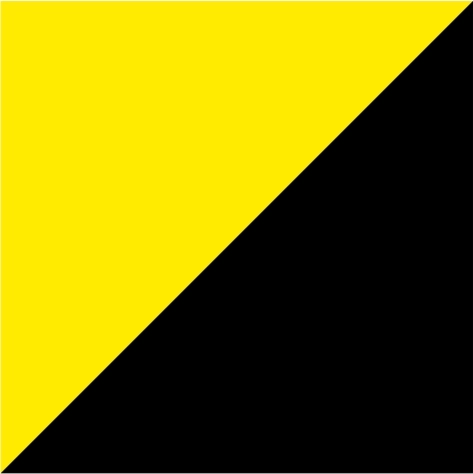 bright yellow/black