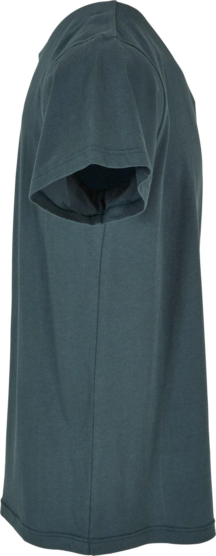 Build Your Brand Basic Round Neck T-Shirt