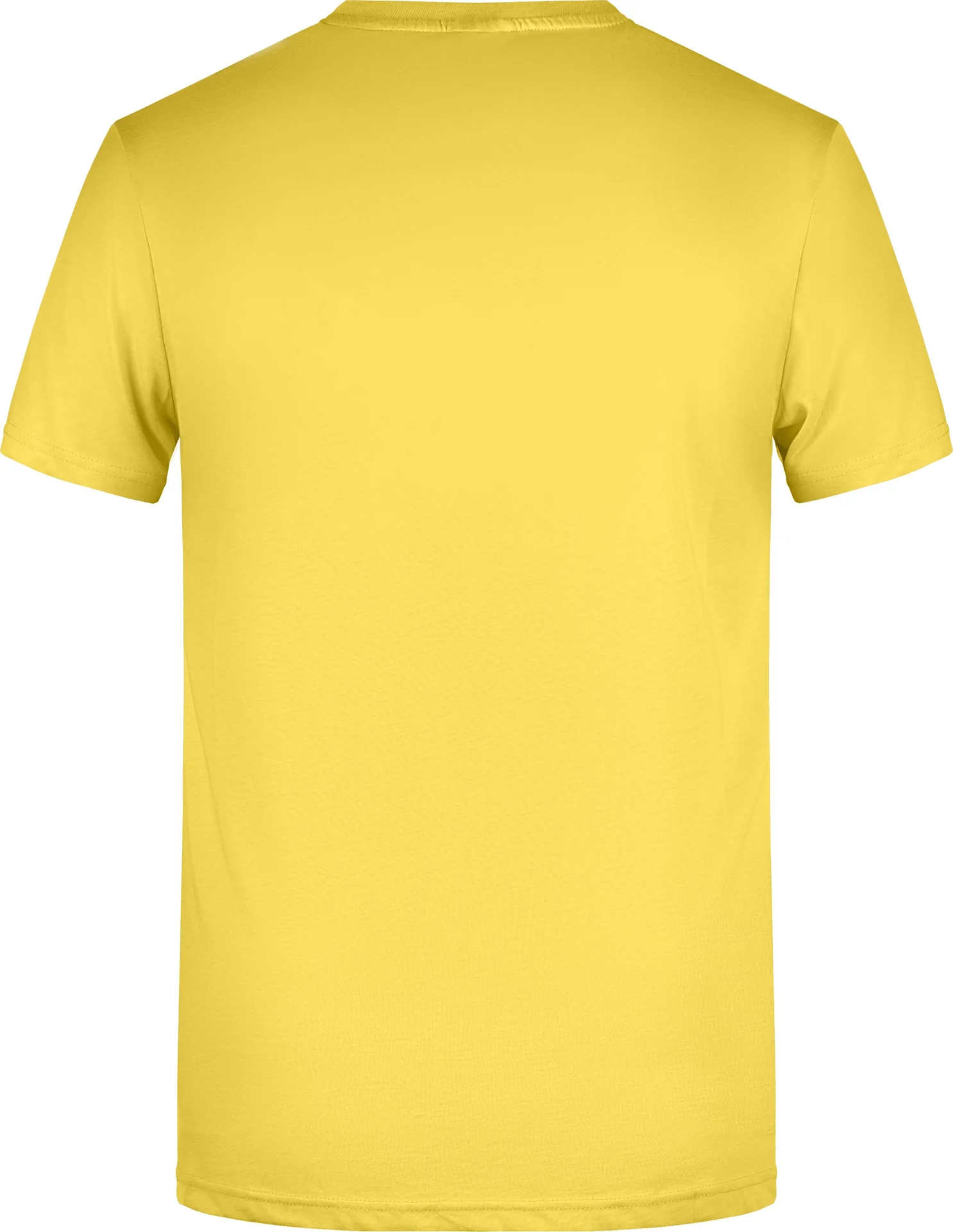James & Nicholson Men`s Basic-T