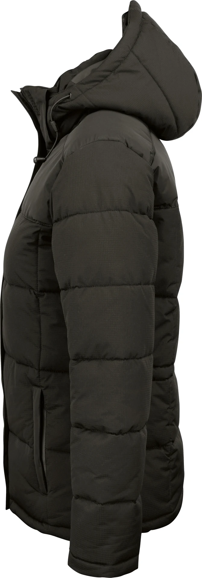 CLIQUE Damen Winterjacke Colorado