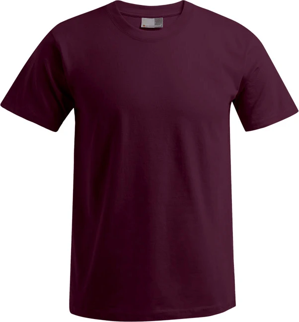 Promodoro Men's Premium-T