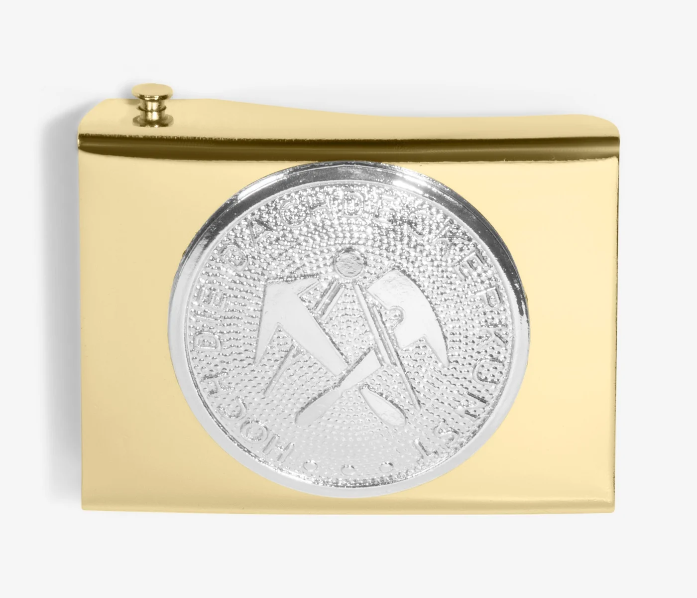 FHB Koppelschloss EIKE Gold Dachdecker