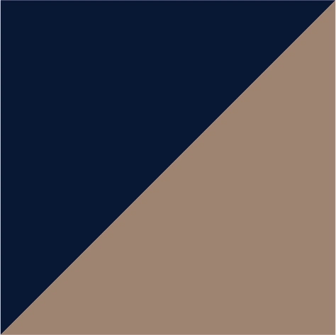 french navy/taupe