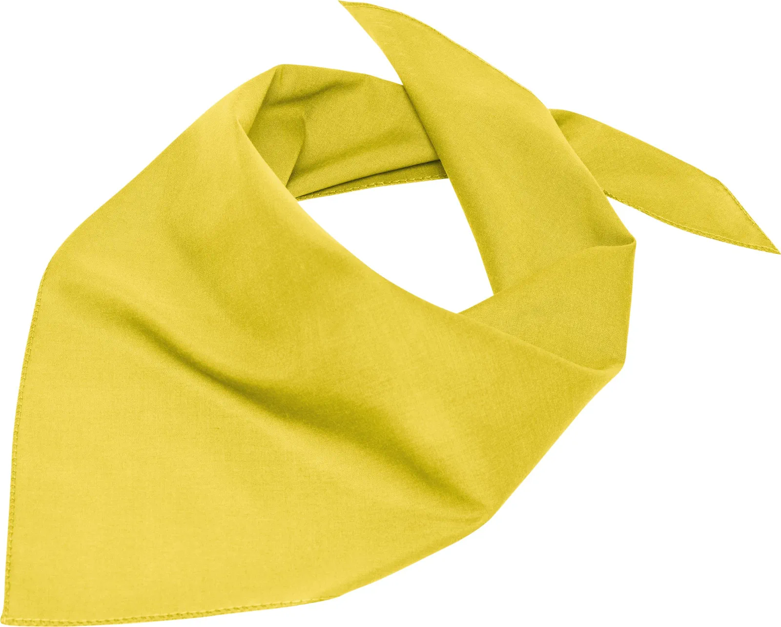 myrtle beach Triangular Scarf
