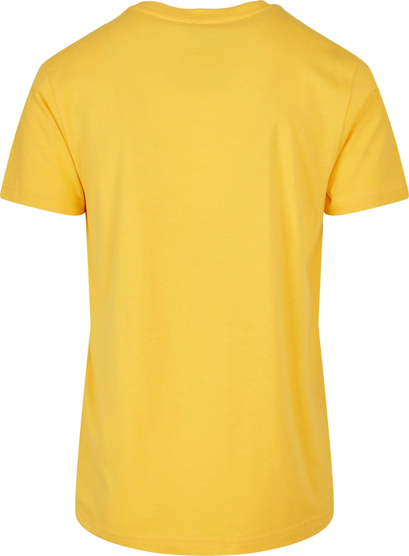 Build Your Brand Basic Round Neck T-Shirt