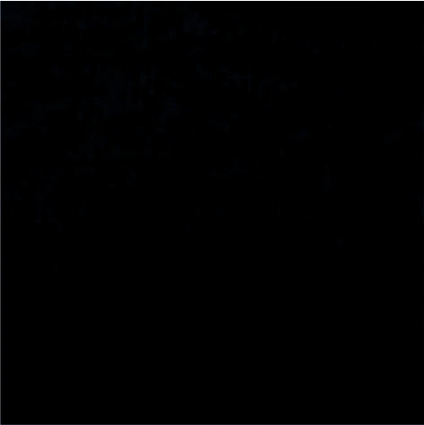 blue midnight heather