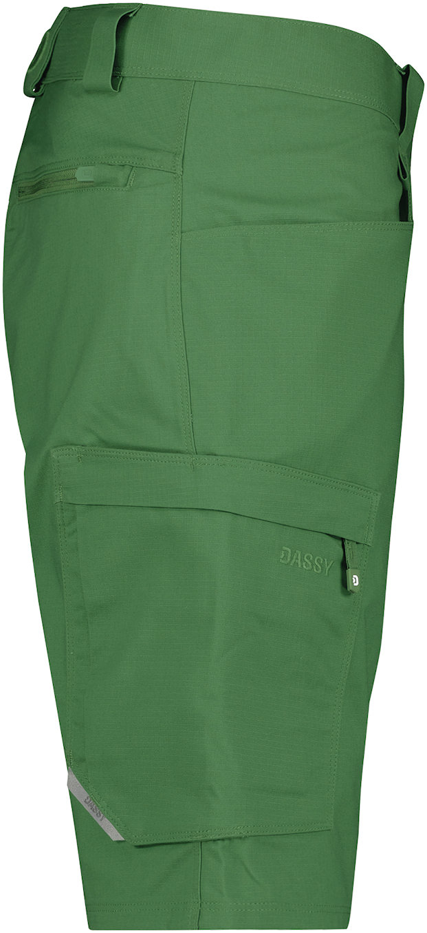 DASSY Arbeitsshorts ZION