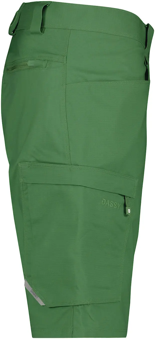 DASSY Arbeitsshorts ZION