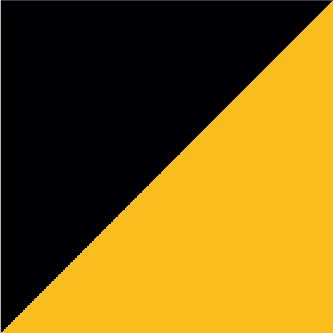 jet black/gold