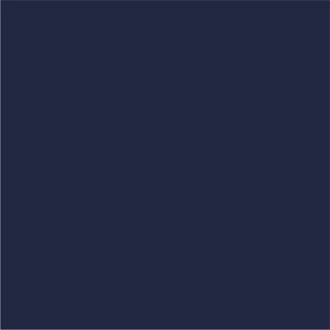 all navy