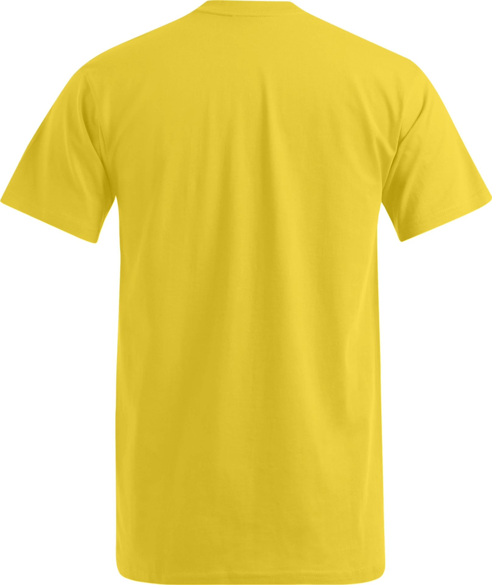 Promodoro Men's Premium V-Neck-T