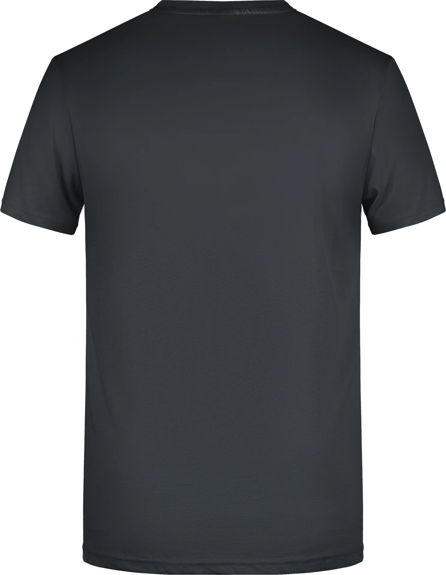 James & Nicholson Men`s Basic-T
