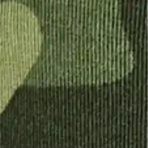 multicam tropic