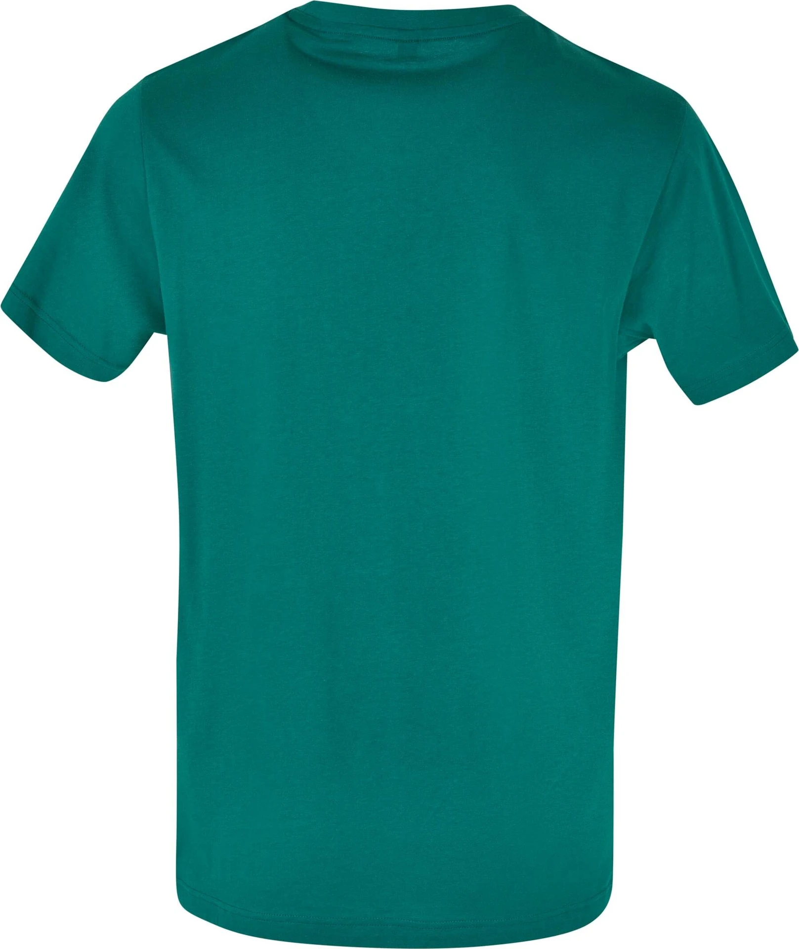 Build Your Brand Basic Round Neck T-Shirt