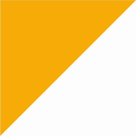sunflower/white