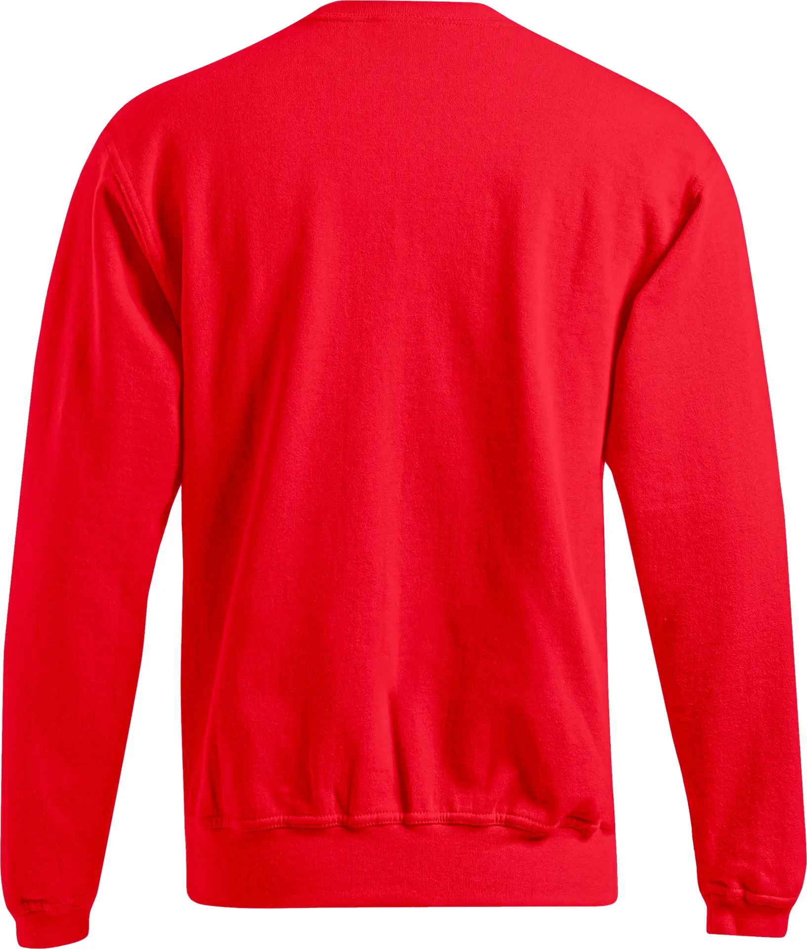 Promodoro Men's Sweater 80/20