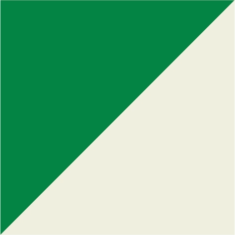 kelly green/off white
