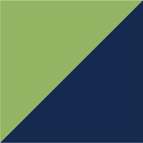 spring green/navy