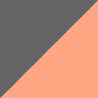 charcoal/neon orange