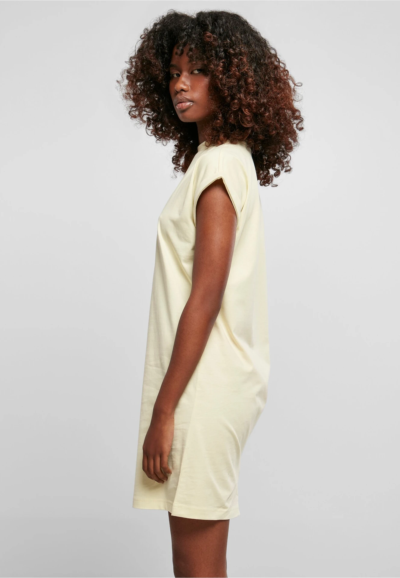 Build Your Brand Ladies Turtle Extended Shoulder Dress