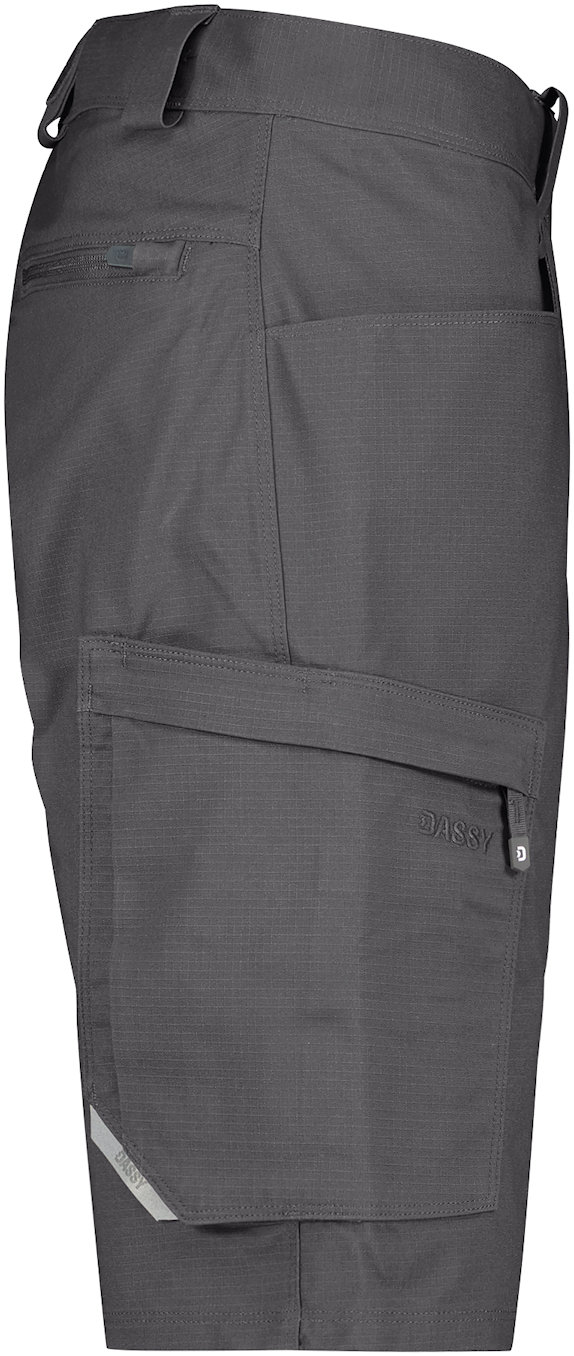 DASSY Arbeitsshorts ZION