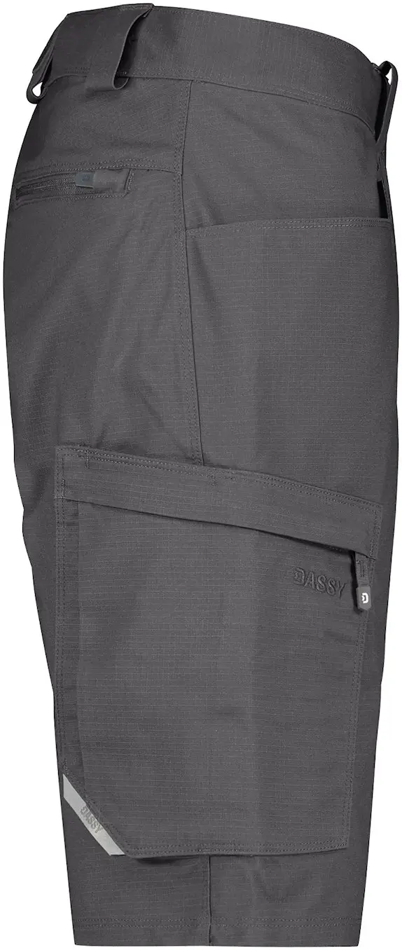 DASSY Arbeitsshorts ZION