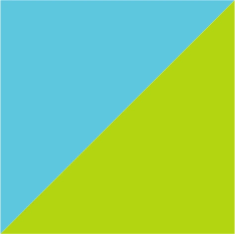 aqua blue/lime green