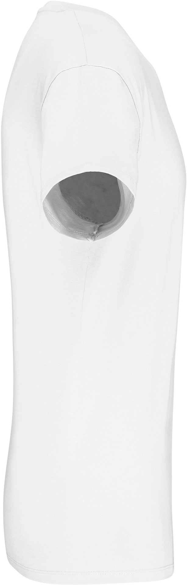 Kariban Herren Bio IC T-Shirt