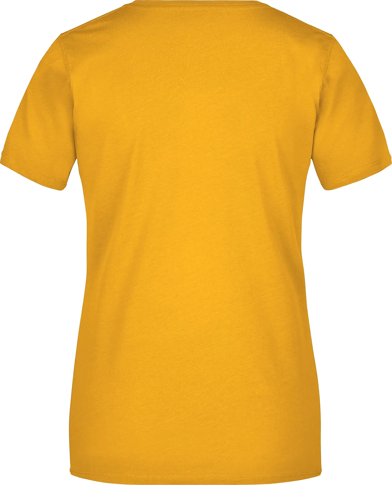 James & Nicholson Ladies Basic-T