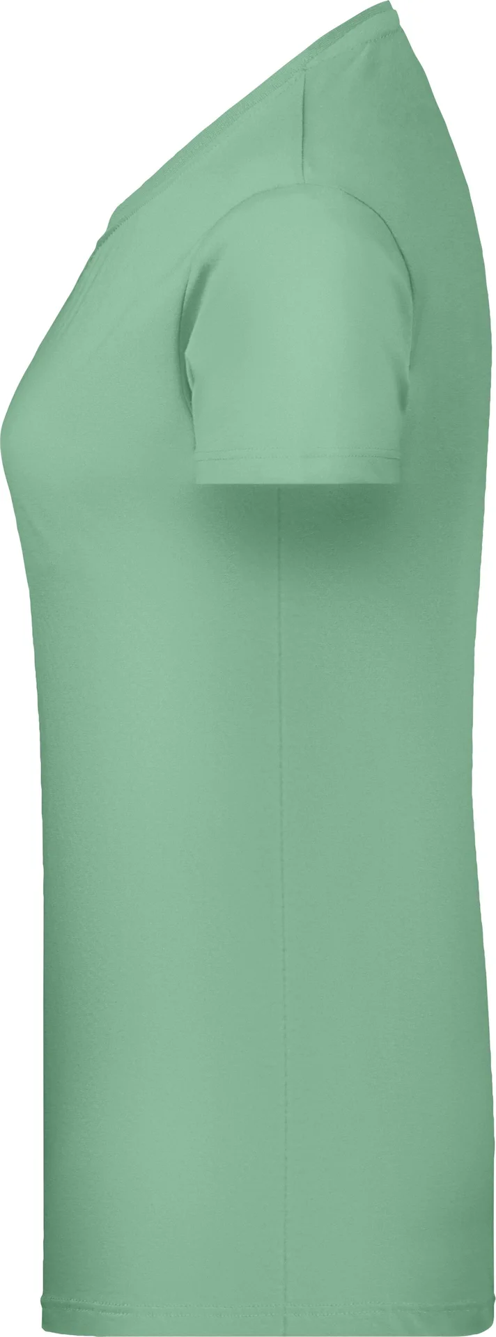 James & Nicholson Ladies Basic-T