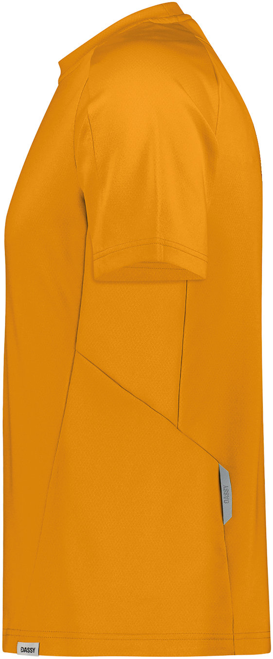 DASSY T-Shirt FUJI