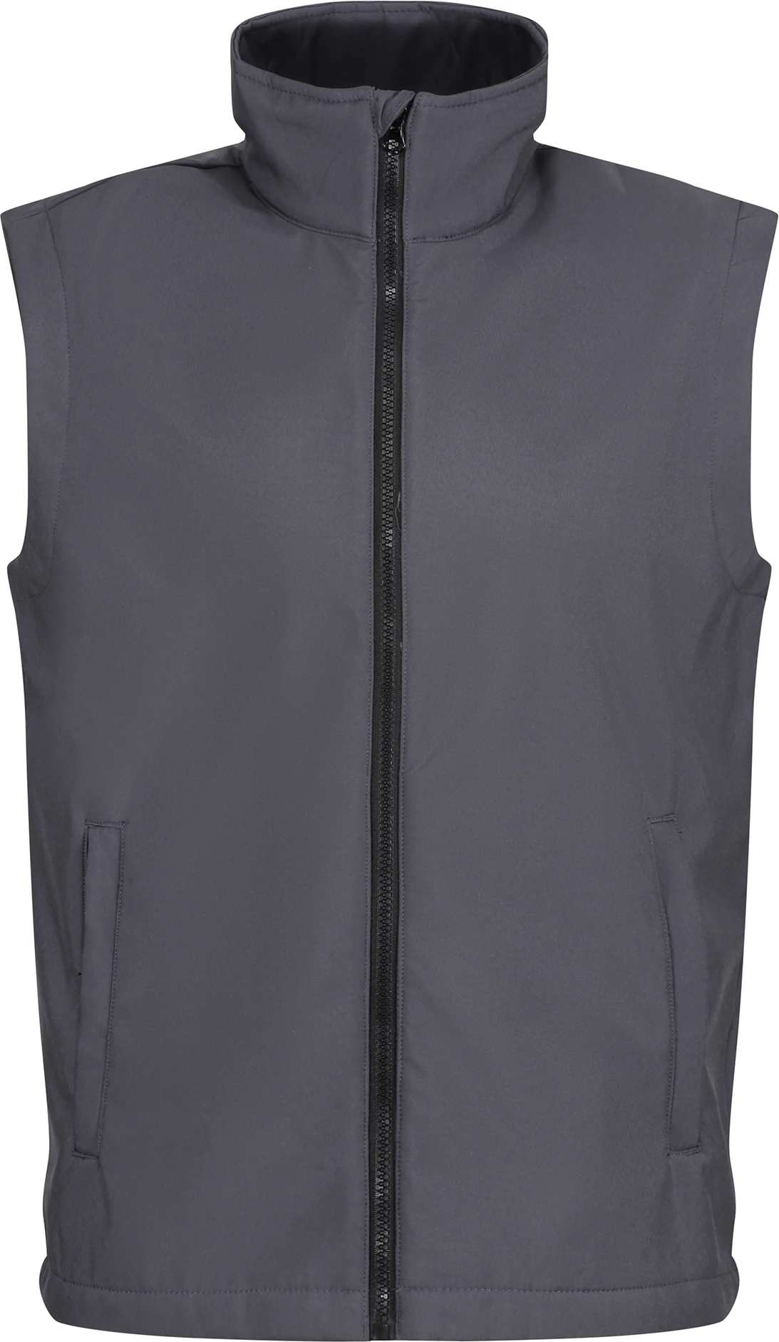 seal grey