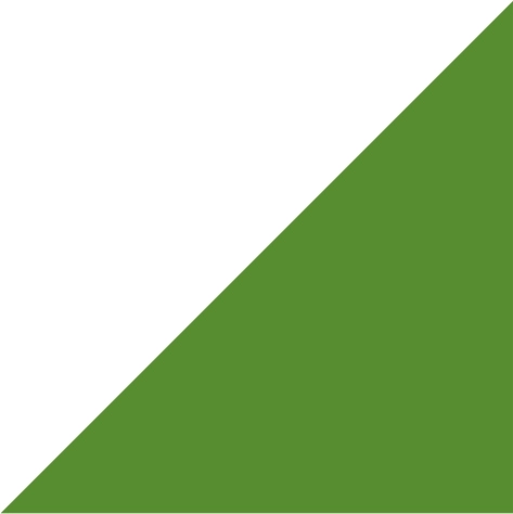 white/lime green
