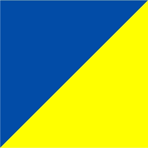 royal/neon yellow