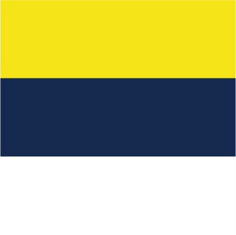 sun yellow/navy/white