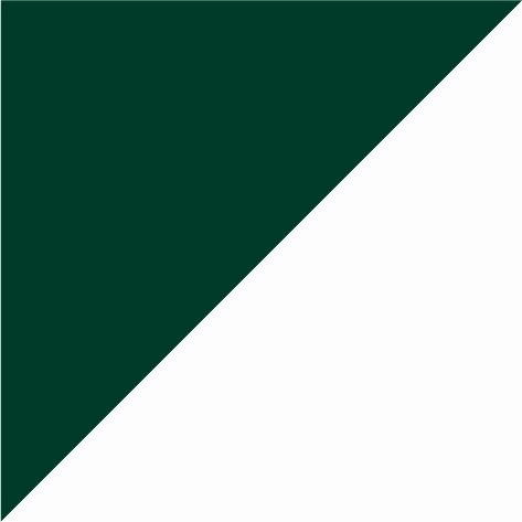 bottle green/white