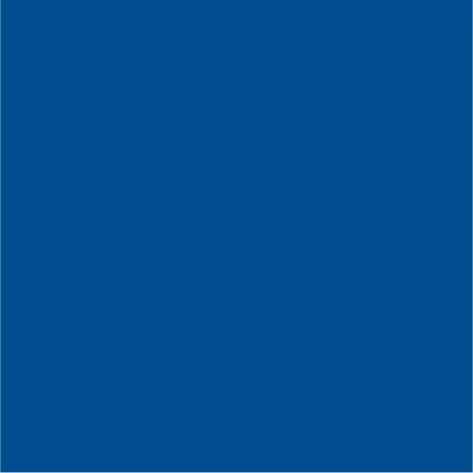sporty royal blue